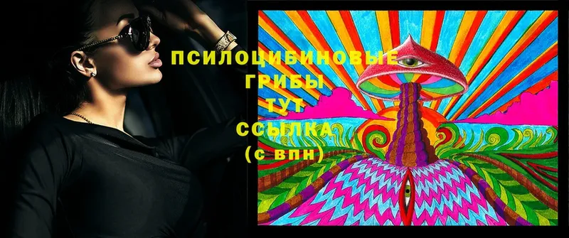 Псилоцибиновые грибы Psilocybe  кракен как войти  Ступино 